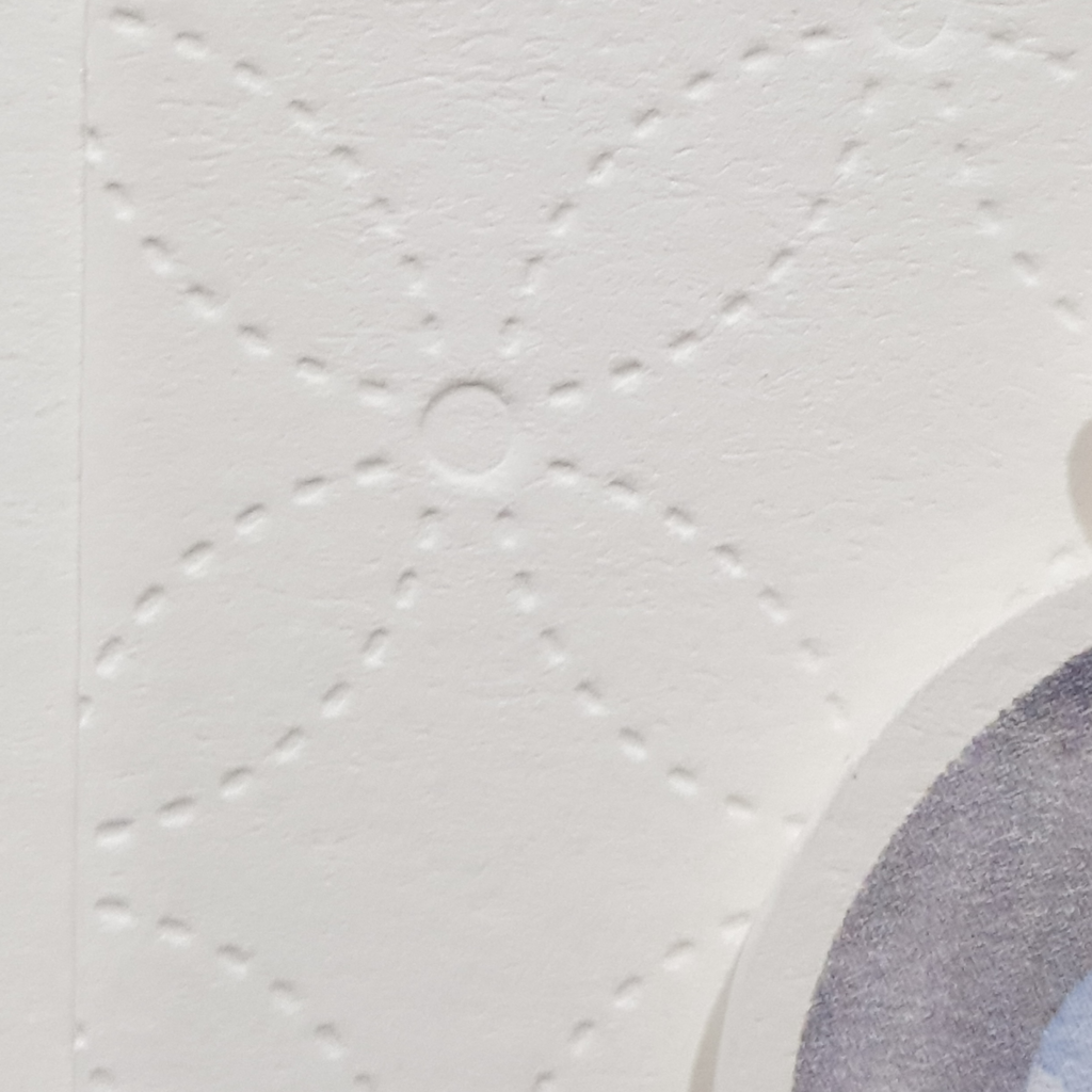 This image shows a close up of the debossed daisies used on this card front.