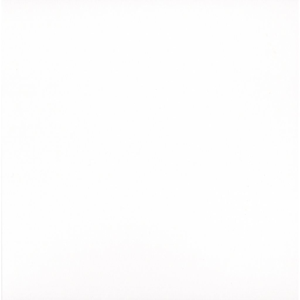 blank inside page for personalisation of magnolia card