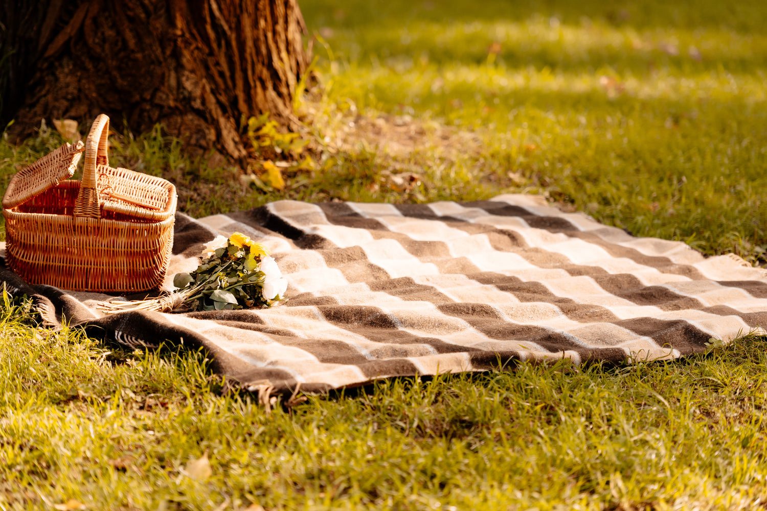 Embracing Autumn: The Perfect Time for a Picnic