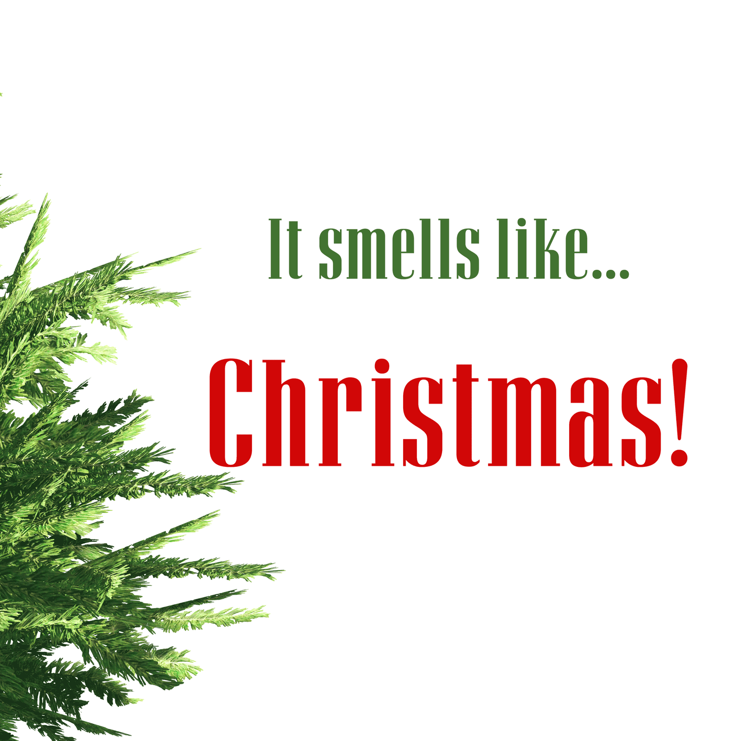 Part of pine tree and the words "It smells like Christmas"