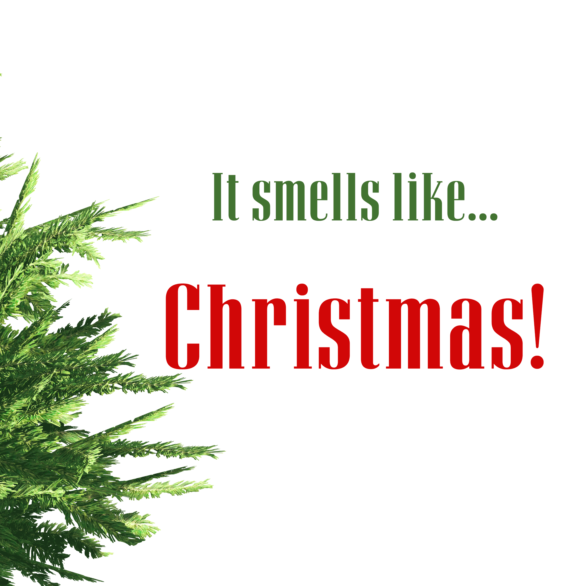 Part of pine tree and the words "It smells like Christmas"