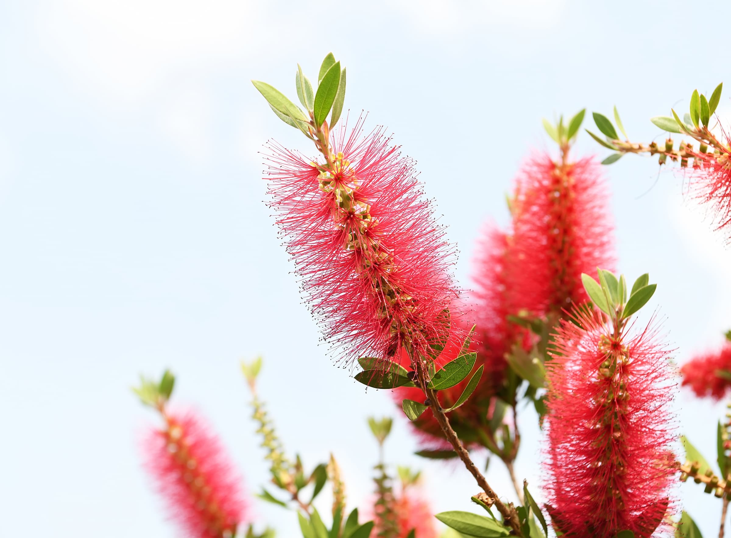 Spring Forward with Love and Celebrate New Beginnings with Our Greetin ...