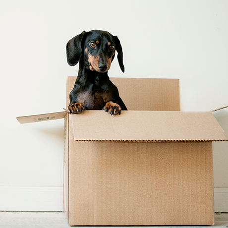 Moving