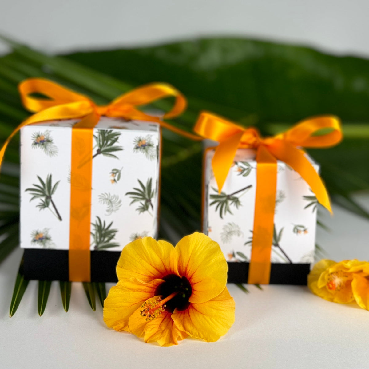 Paradise Whispers Tropical Candle Collection