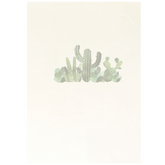Fhis page has an image of cactii in the centre. The rest of the page is blank for you to write your message, name etc.