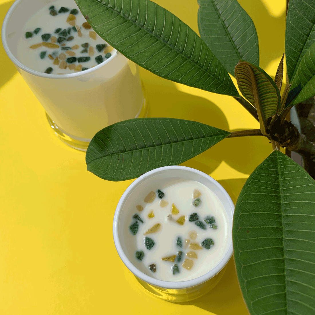 Wild Frangipani Soy Wax Candle - Medium