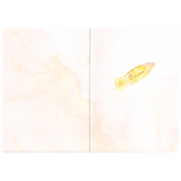 inside right of card featuring pale peach water marble pattern and a beautfiul gold and pink feather