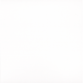 blank inside page for personalisation of magnolia card