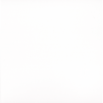 blank inside page for personalisation of magnolia card