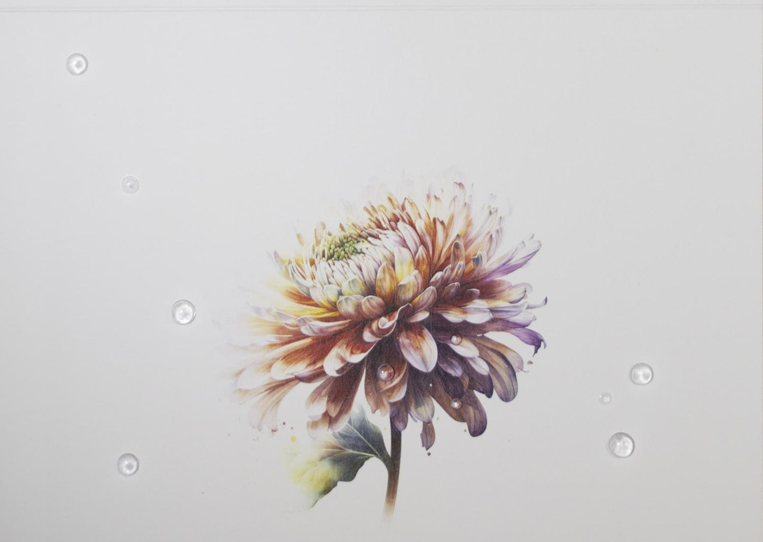 Handmade Personalised Mothers Day Chrysanthemum 001 Greeting Card