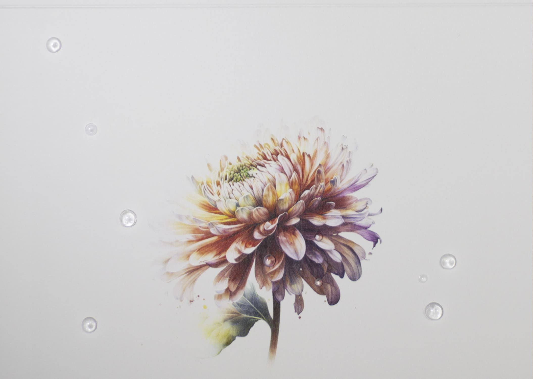 Handmade Personalised Mothers Day Chrysanthemum 001 Greeting Card