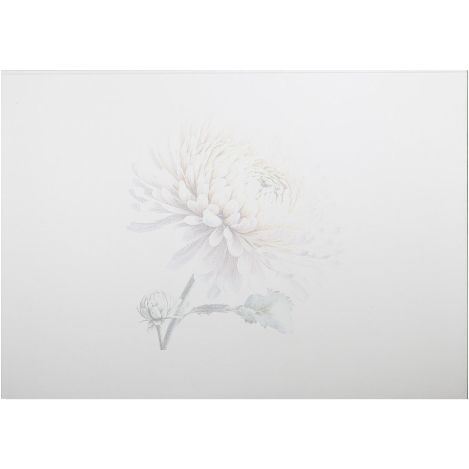 Handmade Personalised Mothers Day Chrysanthemum 001 Greeting Card